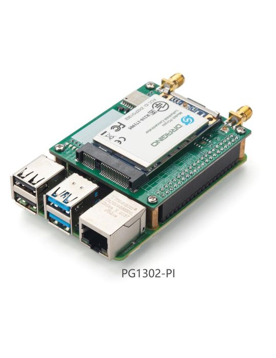 Dragino PG1302-RPI