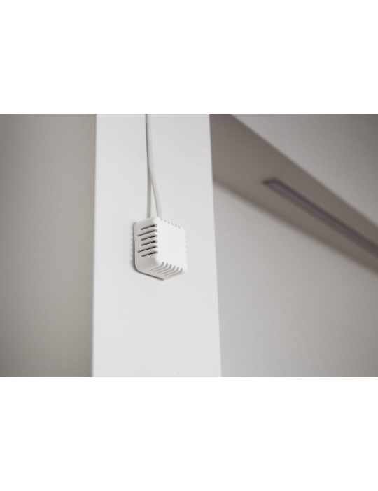 HW-group 1WR-HTemp B1 - Capteur température humidité RJ11 1-Wire