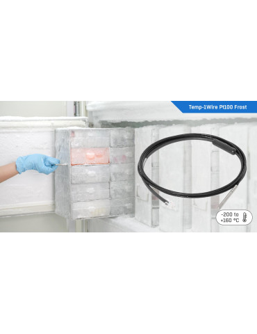 HW-group 1WU-Temp Pt100 B2 Frost 3m | Capteur -200°C à +160°C 2