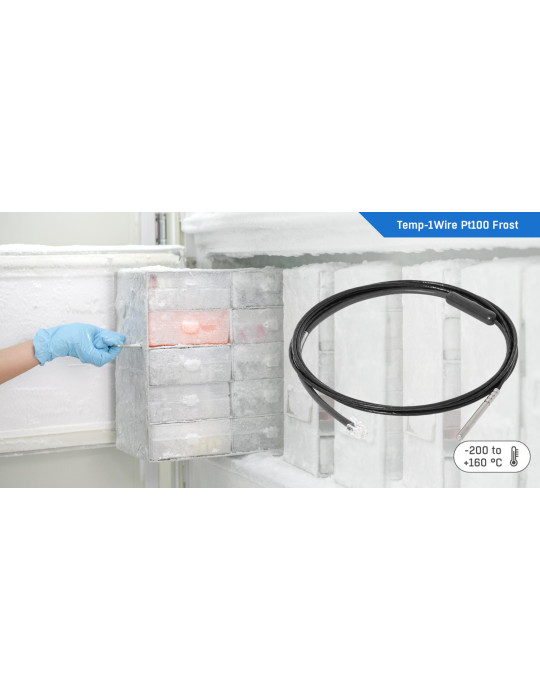 HW-group 1WU-Temp Pt100 B2 Frost 3m | Capteur -200°C à +160°C