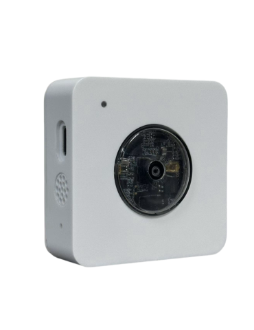Dragino PF52 : Compteur de Passages LoRaWAN avec IA Embarquée